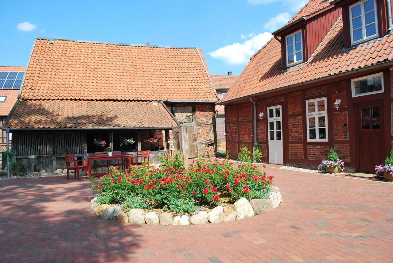 Alte Schmiede Bleckede Apartment Luaran gambar