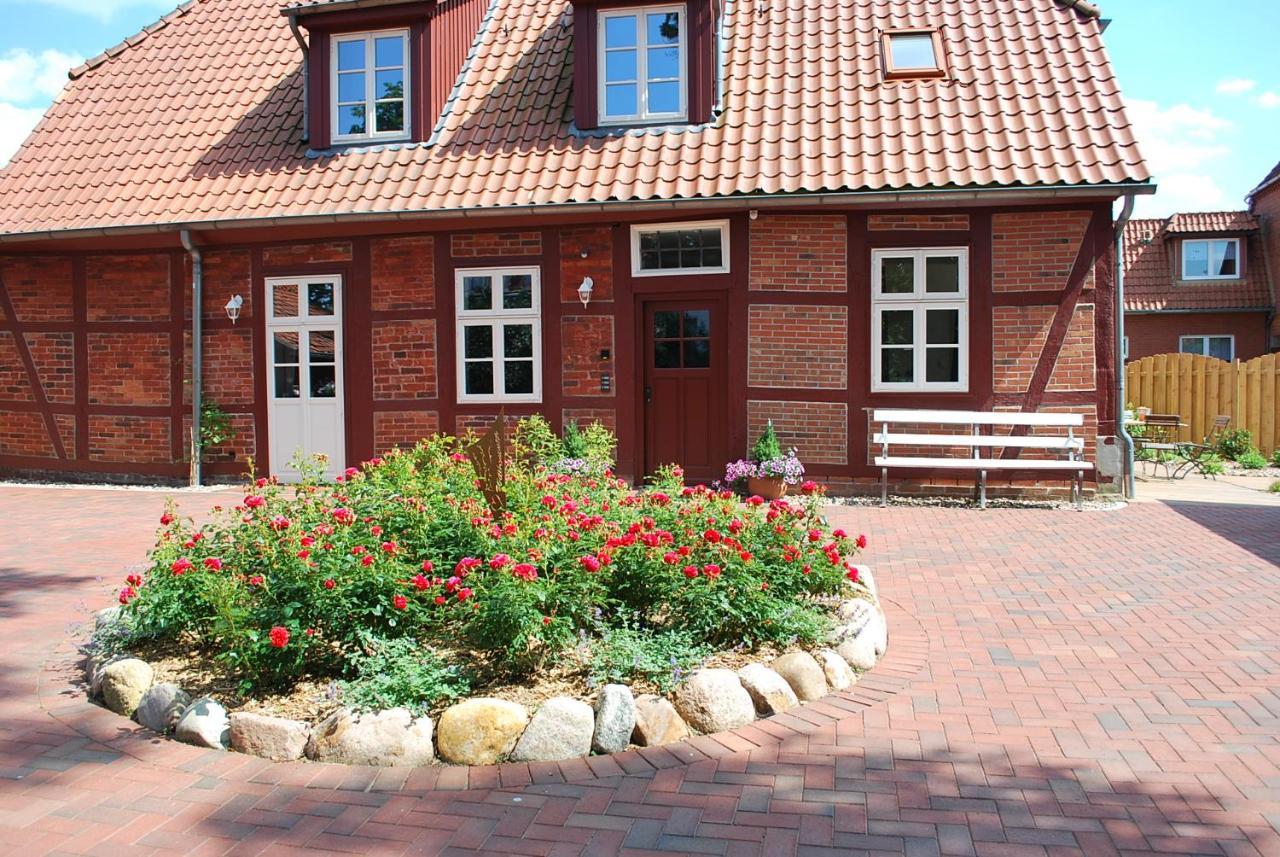Alte Schmiede Bleckede Apartment Luaran gambar