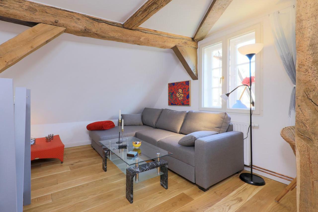 Alte Schmiede Bleckede Apartment Luaran gambar