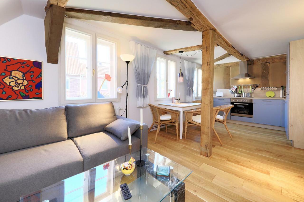 Alte Schmiede Bleckede Apartment Luaran gambar