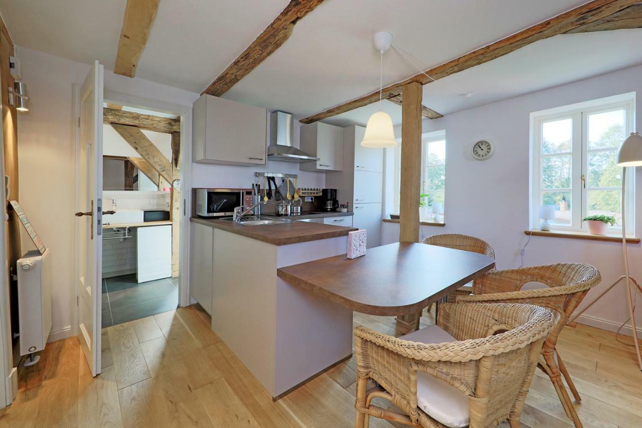 Alte Schmiede Bleckede Apartment Luaran gambar