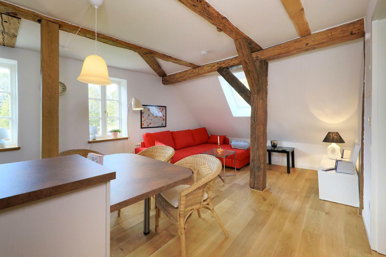 Alte Schmiede Bleckede Apartment Luaran gambar