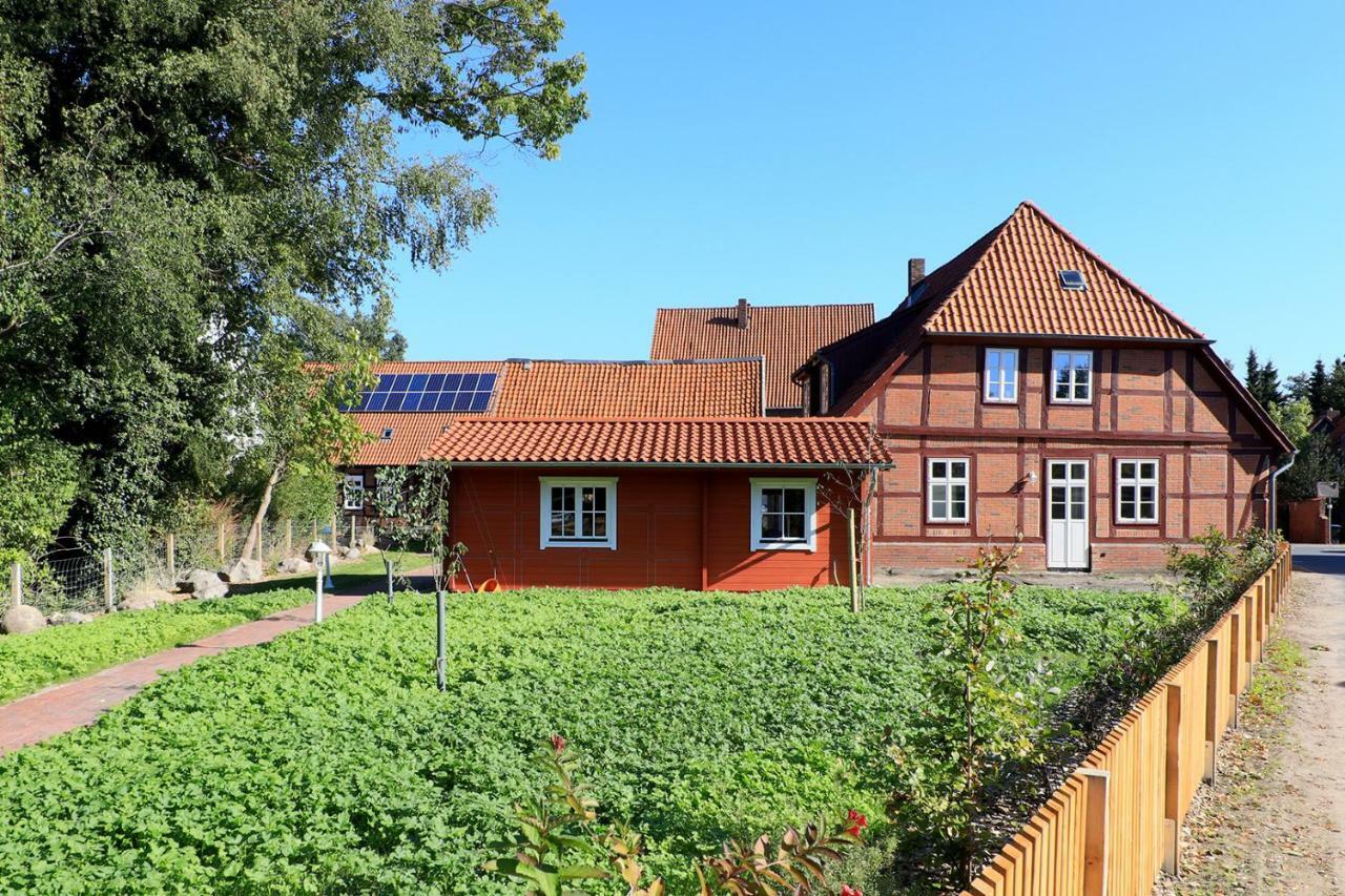 Alte Schmiede Bleckede Apartment Luaran gambar